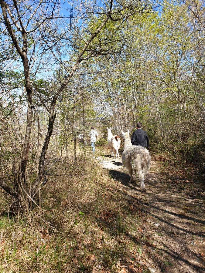 הוילה Arre Maison Au Pied Du Parc National Des Cevennes מראה חיצוני תמונה
