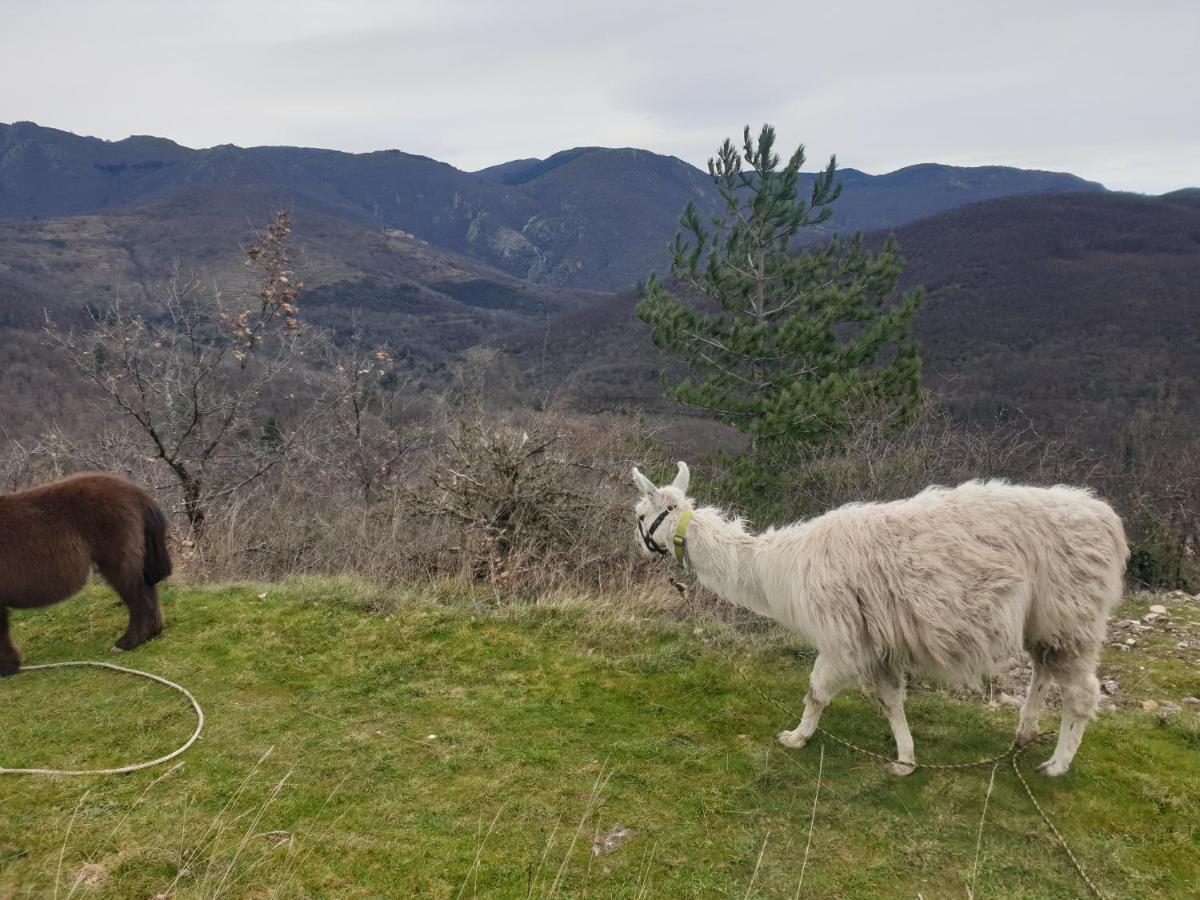 הוילה Arre Maison Au Pied Du Parc National Des Cevennes מראה חיצוני תמונה